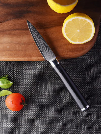 FAMCÜTE Paring Knife 3.5 Inch, Fruit Knife with 67-layers Damascus Steel VG-10 Blade Small Knife, Peeling Knife with Black G10 Handle Small Kitchen Knife Perfect for Cutting Fruit Vegetables Petty Knife