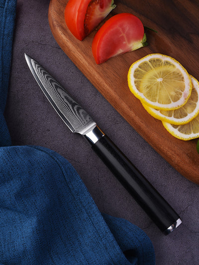 FAMCÜTE Paring Knife 3.5 Inch, Fruit Knife with 67-layers Damascus Steel VG-10 Blade Small Knife, Peeling Knife with Black G10 Handle Small Kitchen Knife Perfect for Cutting Fruit Vegetables Petty Knife