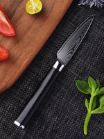 FAMCÜTE Paring Knife 3.5 Inch, Fruit Knife with 67-layers Damascus Steel VG-10 Blade Small Knife, Peeling Knife with Black G10 Handle Small Kitchen Knife Perfect for Cutting Fruit Vegetables Petty Knife