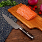 FAMCÜTE 8" Damascus Chef's Knife, Made of 67 Layers Damascus Japanese Gyuto Knife with 1000/6000 2 Side Grit Professional Sharpening Whetstone for Home Kitchen & Restaurant